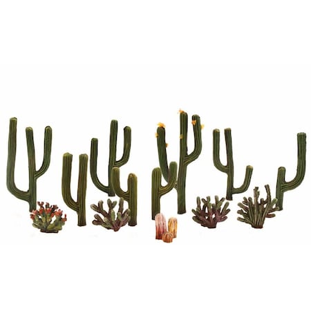 Thinkandplay 0.50 - 2.50 in. Cactus TH2104167